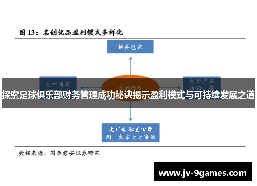 探索足球俱乐部财务管理成功秘诀揭示盈利模式与可持续发展之道